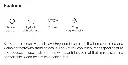 Screenshot 2024-12-04 215017.webp