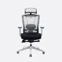 HALO Chair